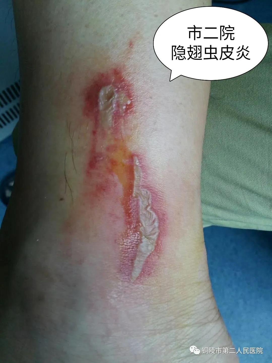 微信图片_20200514093127.jpg