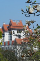 花海